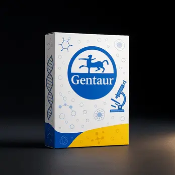 [FM-TBE-5-500] 5x TBE Buffer (Tris-borate-EDTA) - 500ml